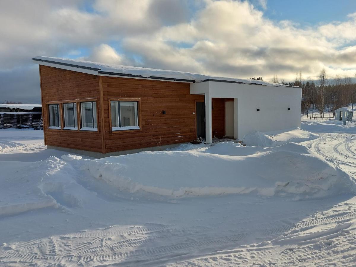 Arctic River Chalet Rovaniemi Buitenkant foto
